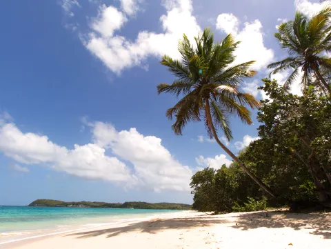 Croisière : Guadeloupe en Catamaran !