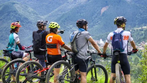 vtt