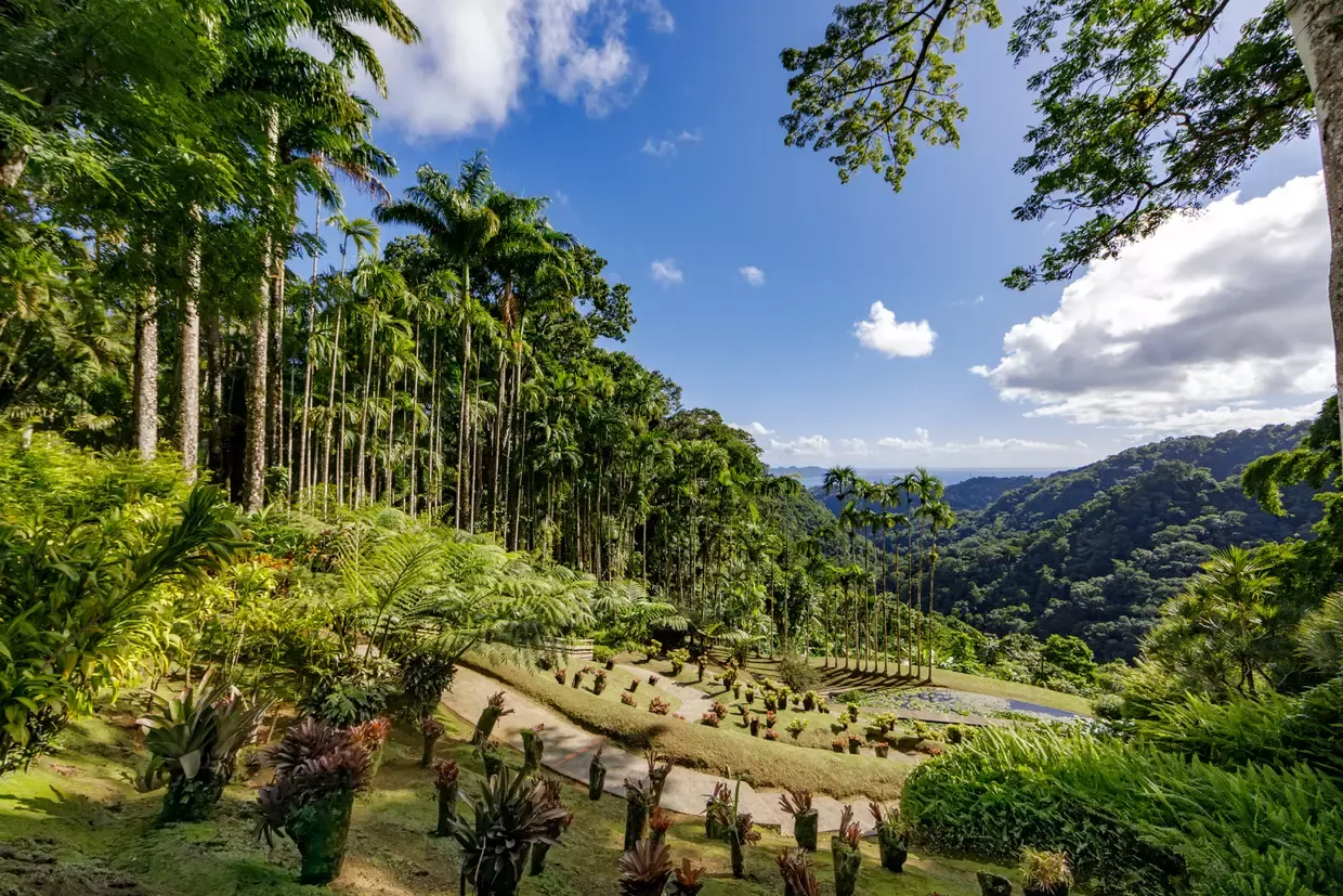 Jardins de Balata 