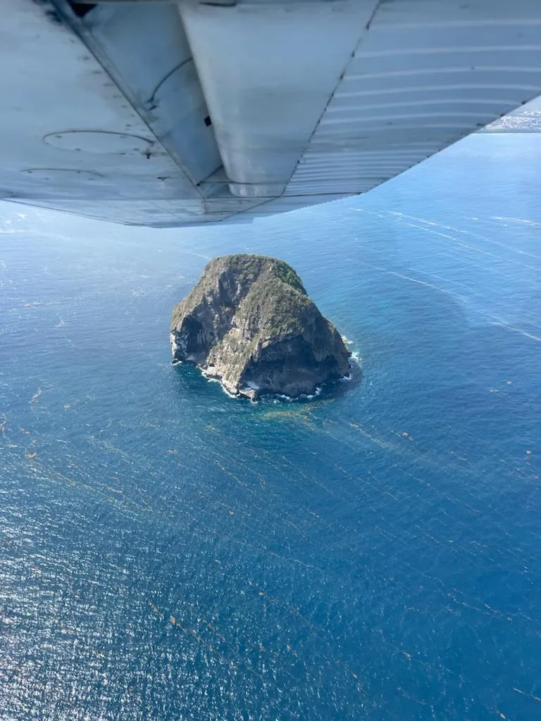 avion