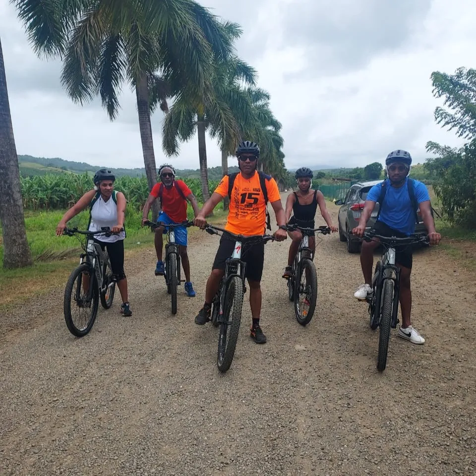 vtt