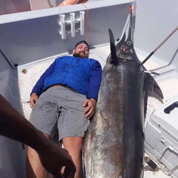 Pêche au gros Martinique