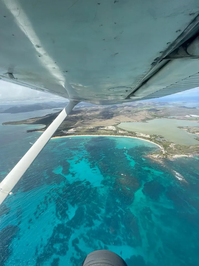 avion